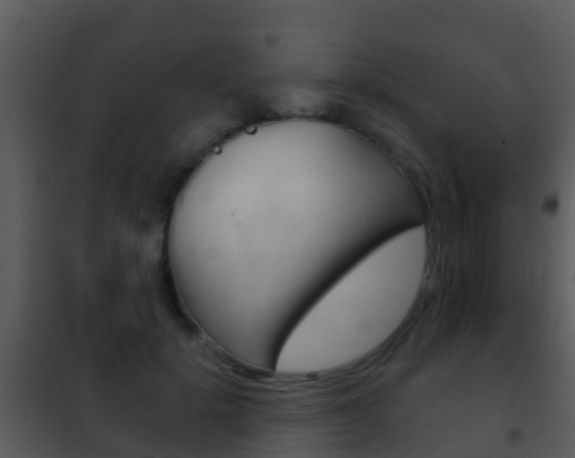 X0000101970652200807180727