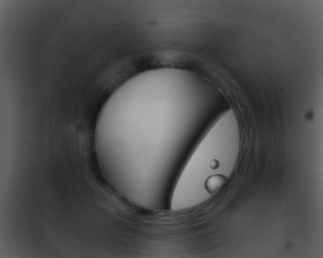 X0000101970653200807180727