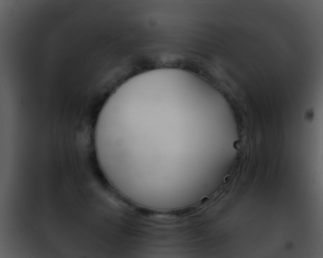 X0000101970654200807180727