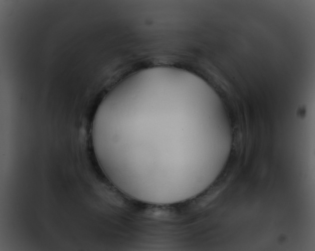 X0000101970655200807180727