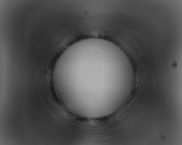 X0000101970656200807180727