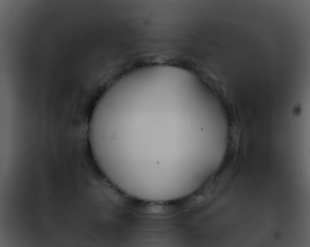 X0000101970657200807180727