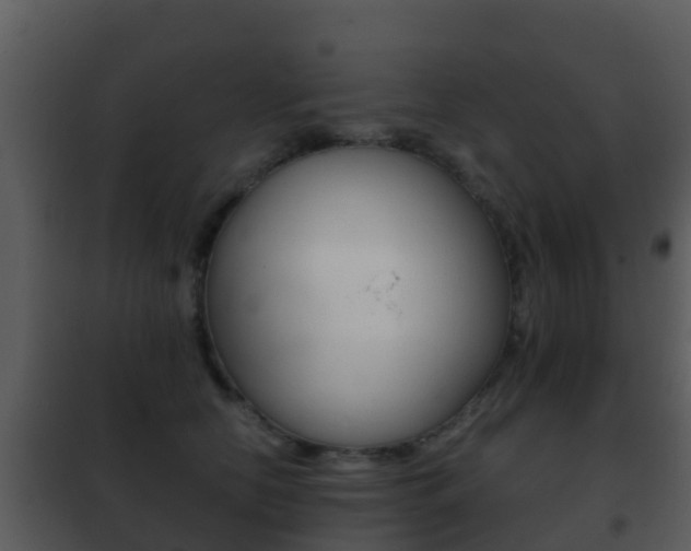 X0000101970658200807180727