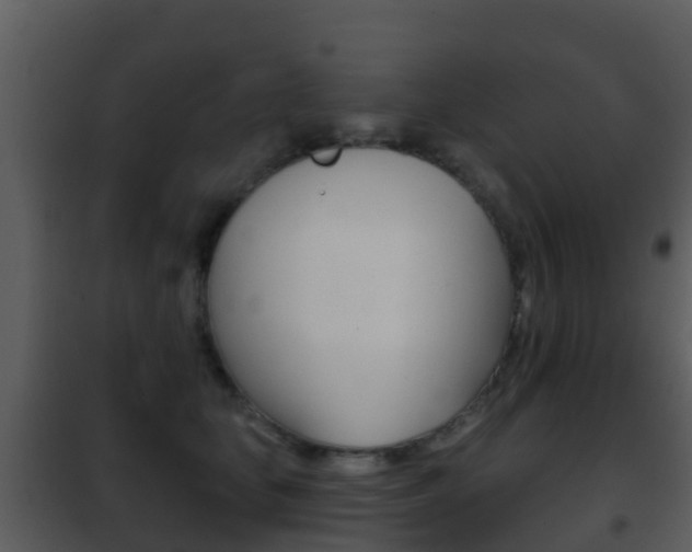 X0000101970659200807180727