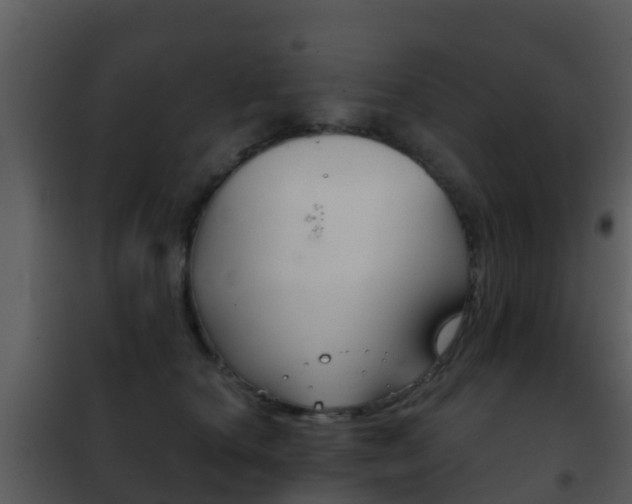 X0000101970660200807180727