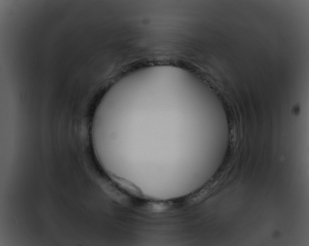 X0000101970662200807180727