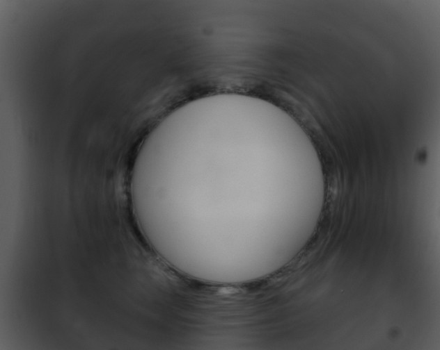 X0000101970663200807180728