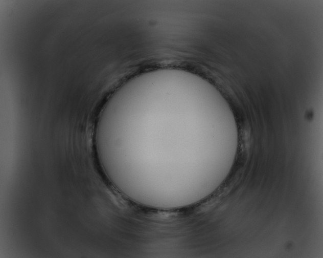 X0000101970664200807180728