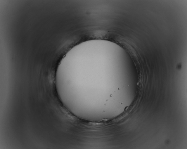 X0000101970665200807180728