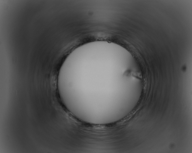 X0000101970666200807180728
