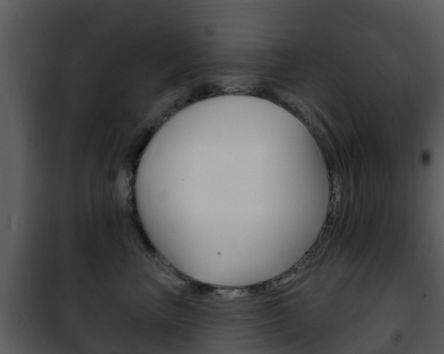 X0000101970667200807180728