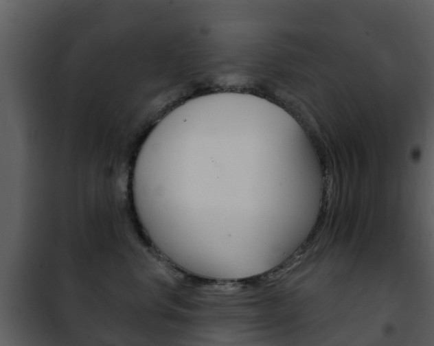 X0000101970668200807180728