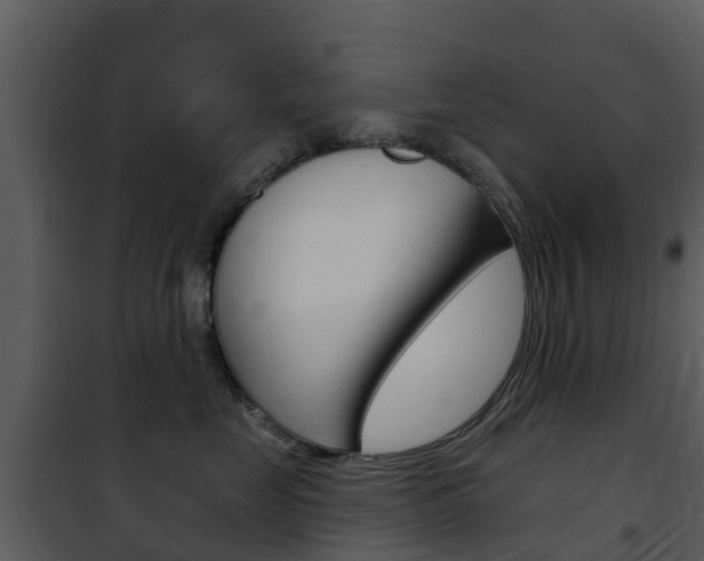 X0000101970669200807180728