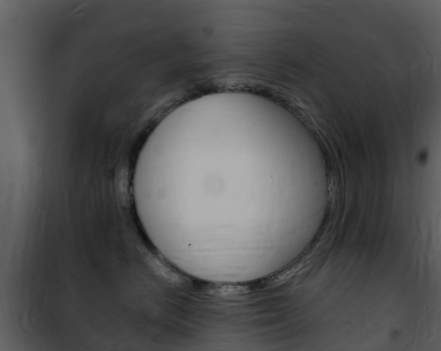 X0000101970670200807180728