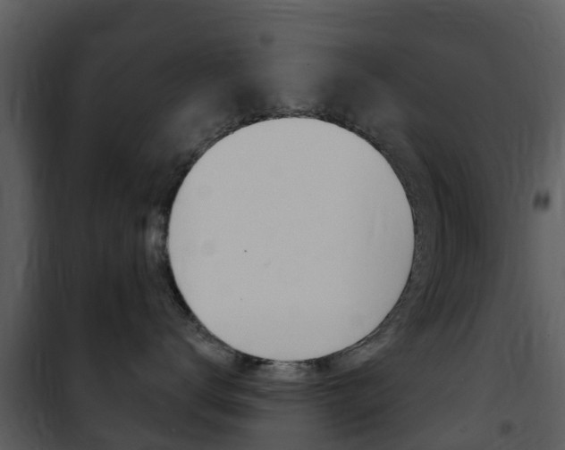 X0000101970672200807180728
