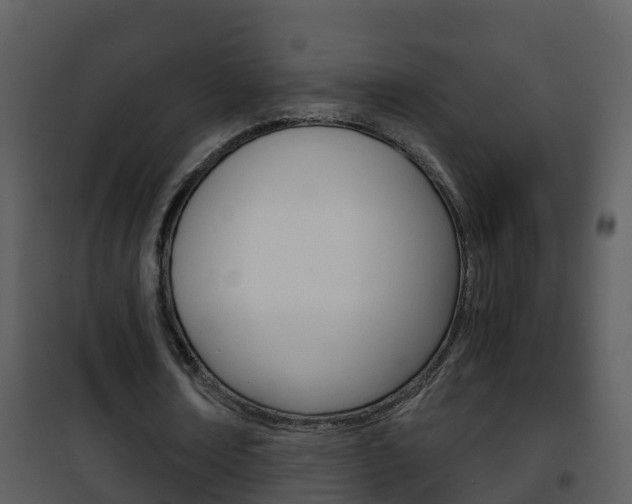 X0000101970674200807180727