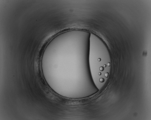 X0000101970675200807180727