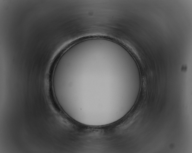 X0000101970676200807180727