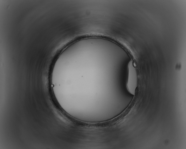 X0000101970677200807180727