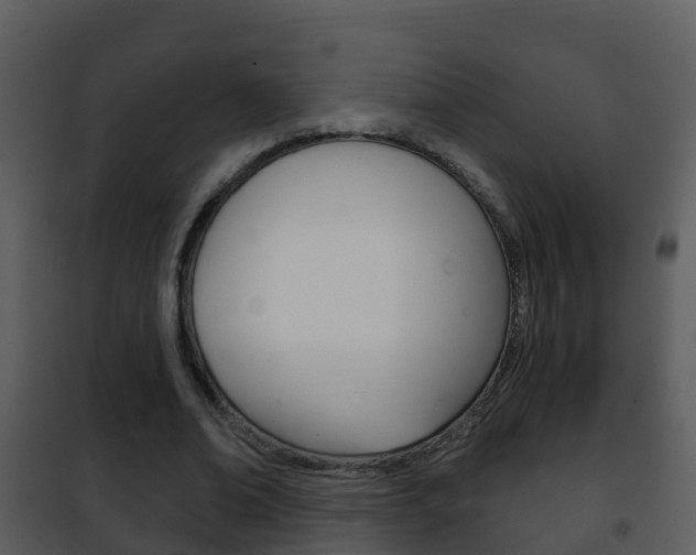 X0000101970678200807180727