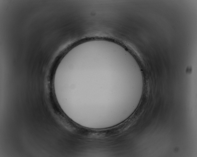 X0000101970680200807180727