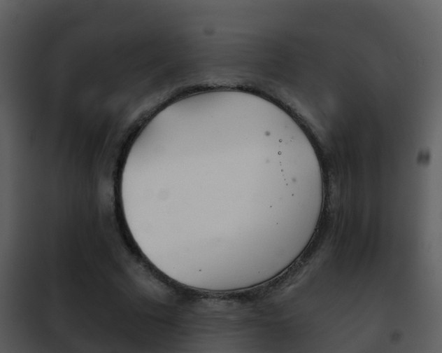 X0000101970681200807180727