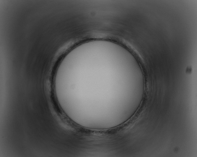 X0000101970682200807180727