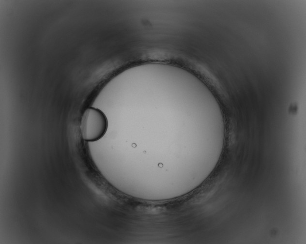 X0000101970683200807180727