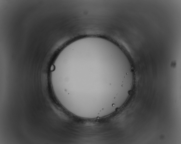 X0000101970684200807180727