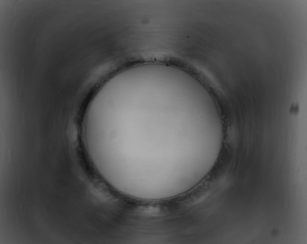 X0000101970687200807180727