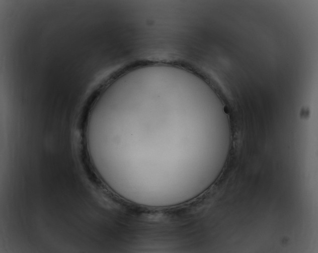 X0000101970688200807180727