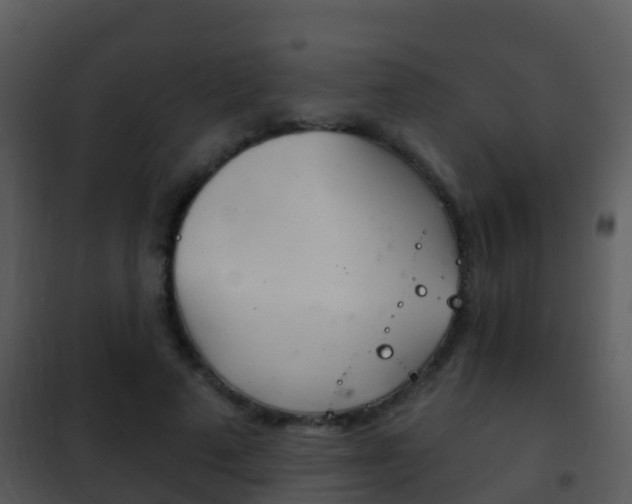 X0000101970689200807180727