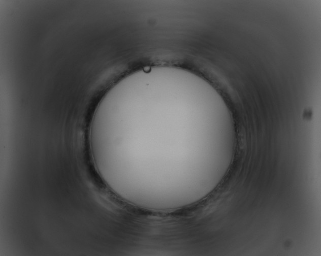 X0000101970690200807180727