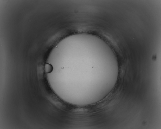 X0000101970691200807180727