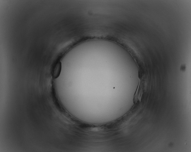 X0000101970692200807180727