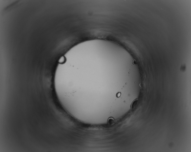 X0000101970693200807180727