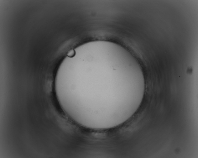 X0000101970694200807180727