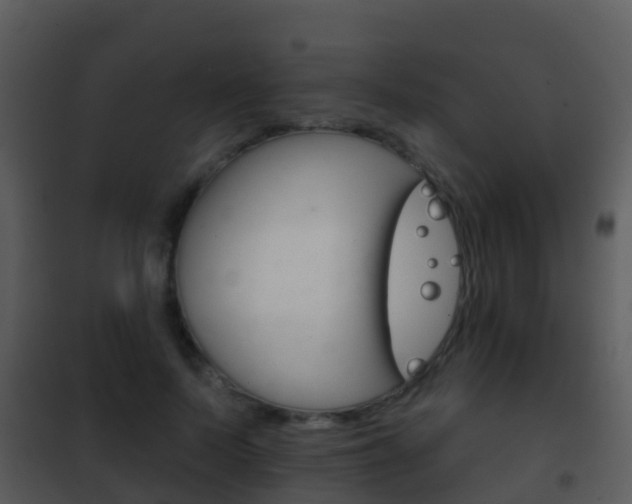 X0000101970695200807180727