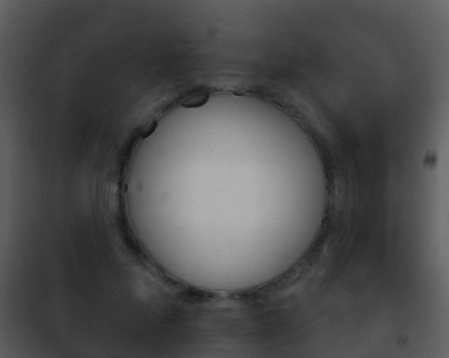 X0000101970696200807180727