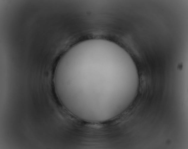 X0000101970698200807180727