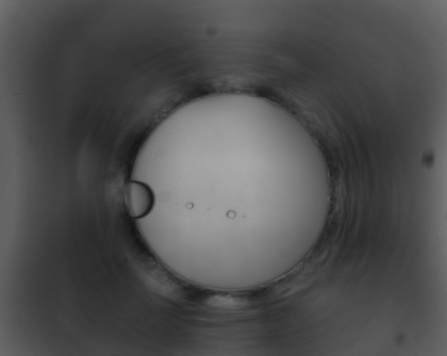 X0000101970699200807180727