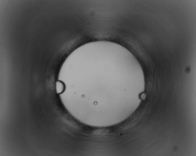 X0000101970700200807180727