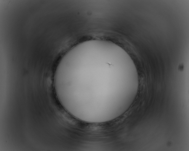 X0000101970702200807180727