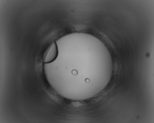 X0000101970703200807180727