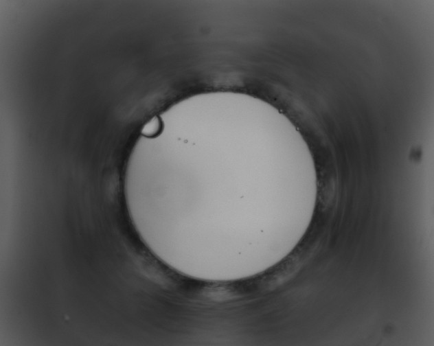 X0000101970704200807180727