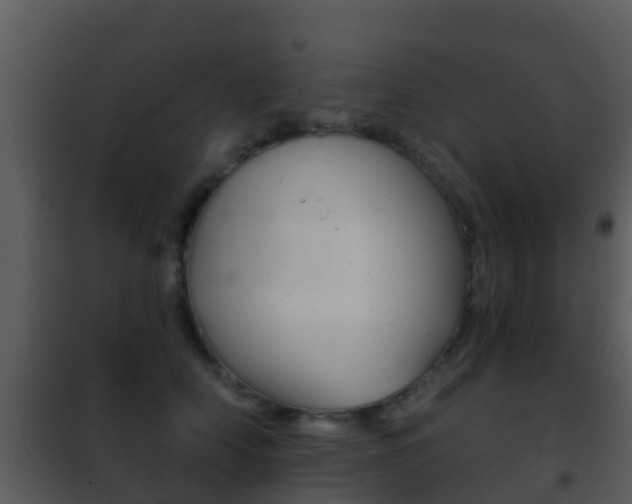 X0000101970706200807180726