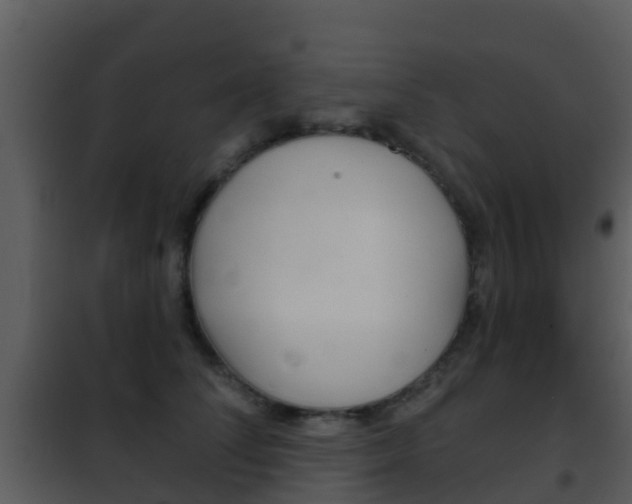 X0000101970708200807180726