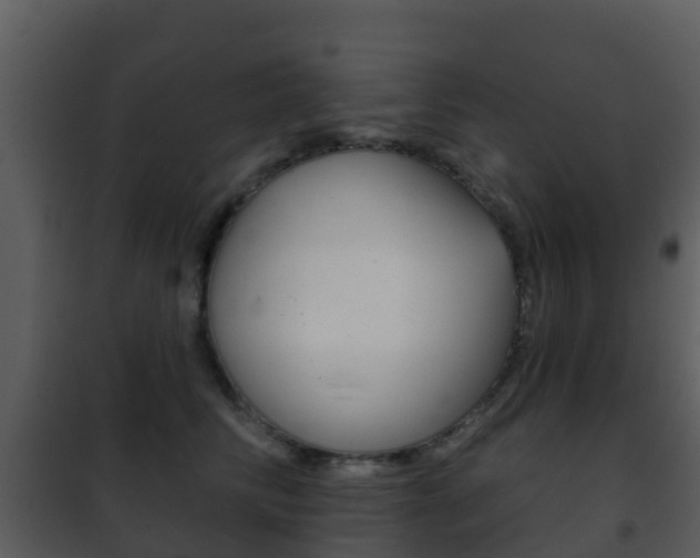 X0000101970710200807180726