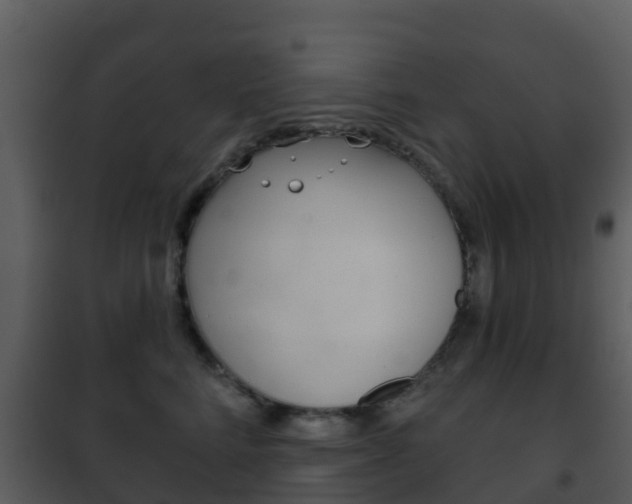 X0000101970712200807180726