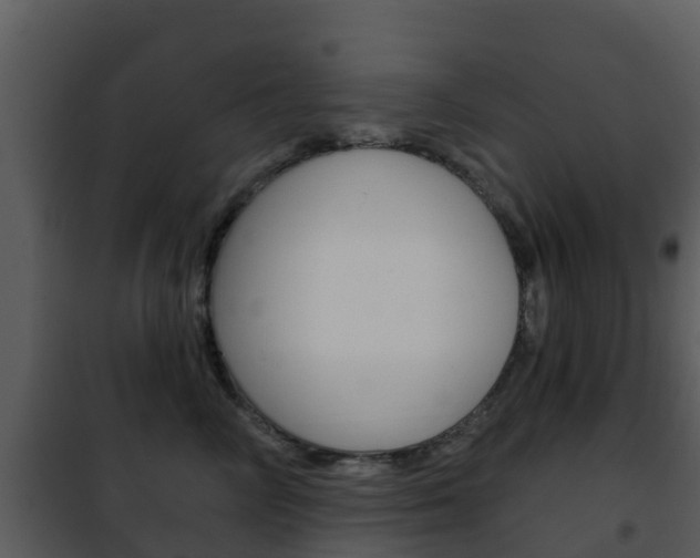 X0000101970714200807180726
